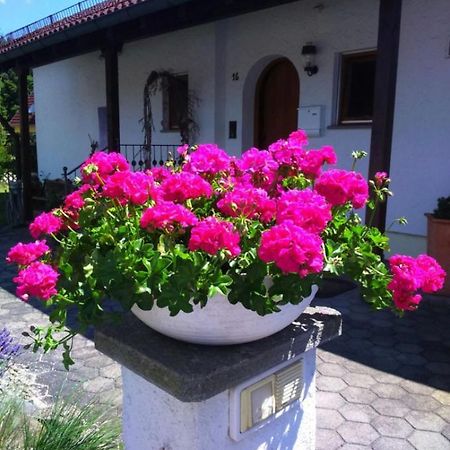 Apartament Haus Saentisblick Eriskirch Zewnętrze zdjęcie
