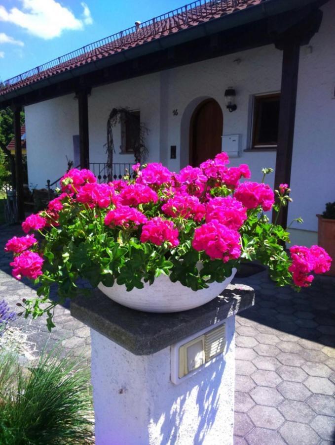 Apartament Haus Saentisblick Eriskirch Zewnętrze zdjęcie